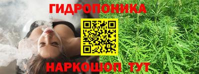 a pvp Кохма