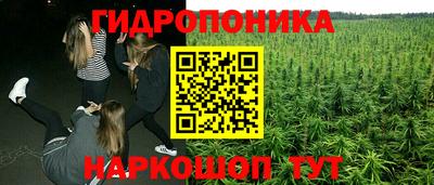 спиды Красноармейск
