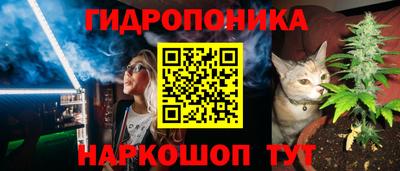 амф Котовск