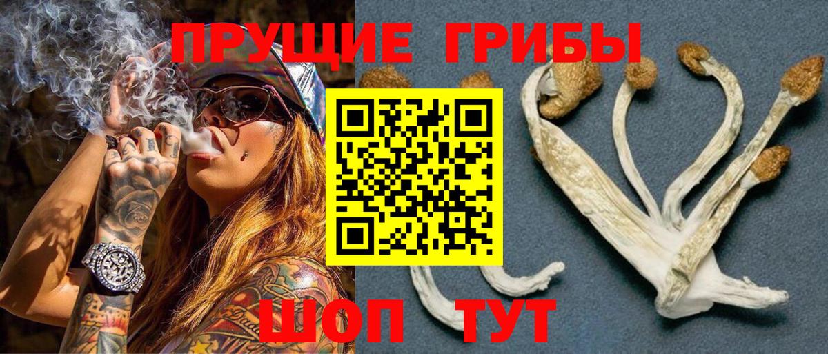Дзержинск  Галлюциногенные грибы Cubensis  Вход с VPN  Псилоцибиновые грибы Psilocybe 